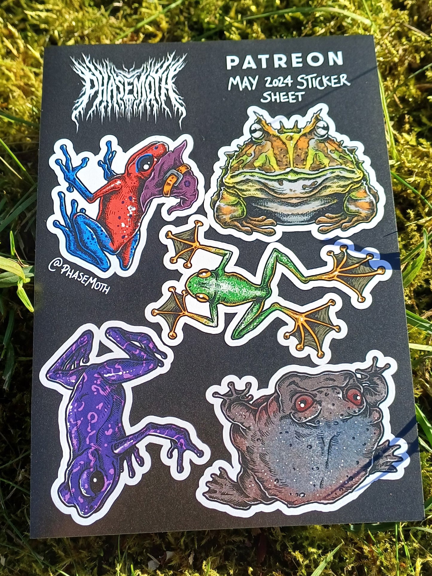 Frogs & Toads A6 Sticker Sheet