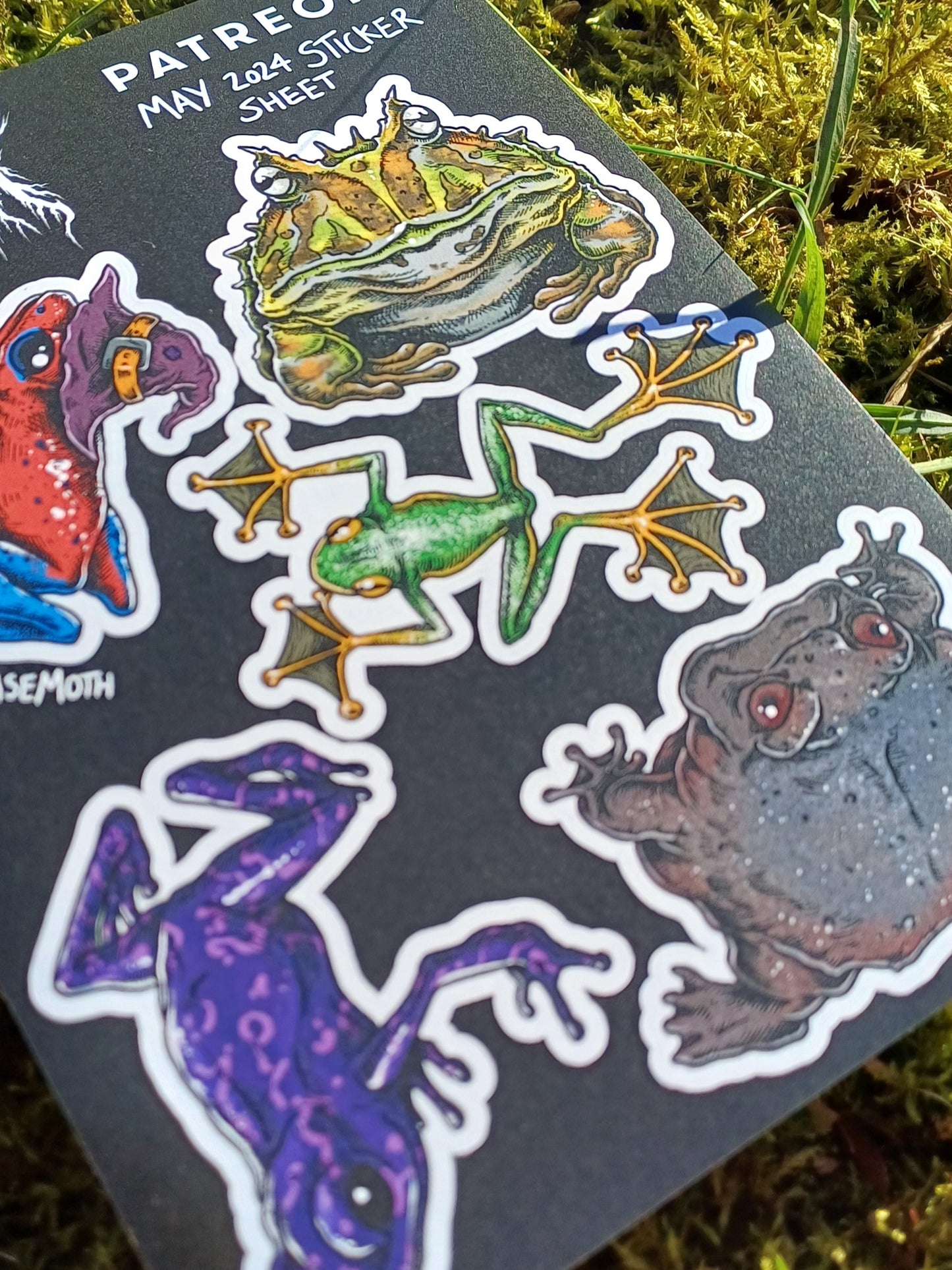 Frogs & Toads A6 Sticker Sheet