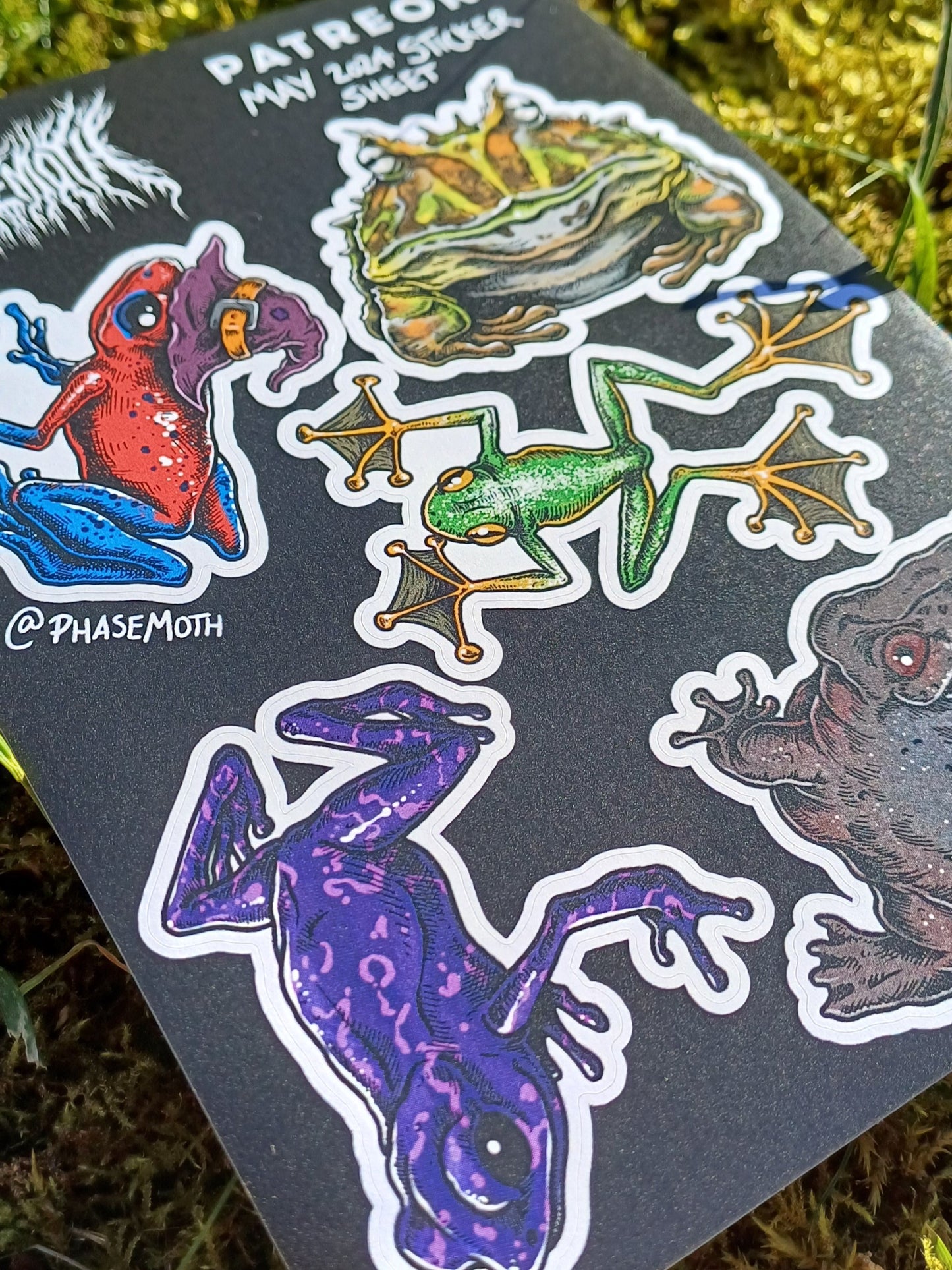 Frogs & Toads A6 Sticker Sheet