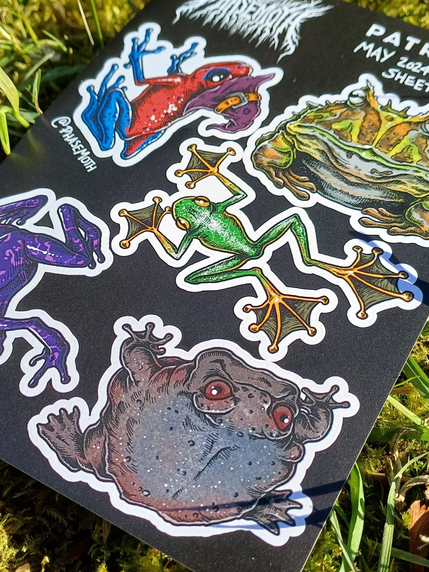 Frogs & Toads A6 Sticker Sheet